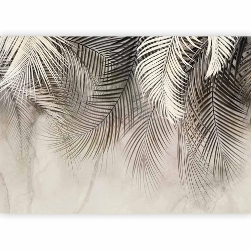 murando Fotomurales hojas tropicales 350x256 cm Papel pintado | tejido no tejido Decoración de Pared decorativos Murales moderna de Diseno Fotográfico Pasillo Oficina Naturaleza
