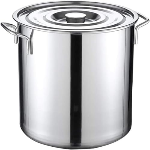 Olla cocinar, ollas Grandes, Olla Grande Profesional Acero Inoxidable con Tapa, Olla inducción Pulida con Espejo Varias Fuentes Calor