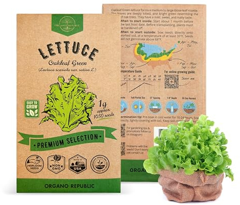 Organo Republic Lettuce Oakleaf Seeds Pack 1 G - Over 800 Non-GMO Heirloom Lettuce Seeds for Planting Greens in Individual Seed Packet, Greens Seeds for Planting Home Garden Indoor & Outdoor Gardening