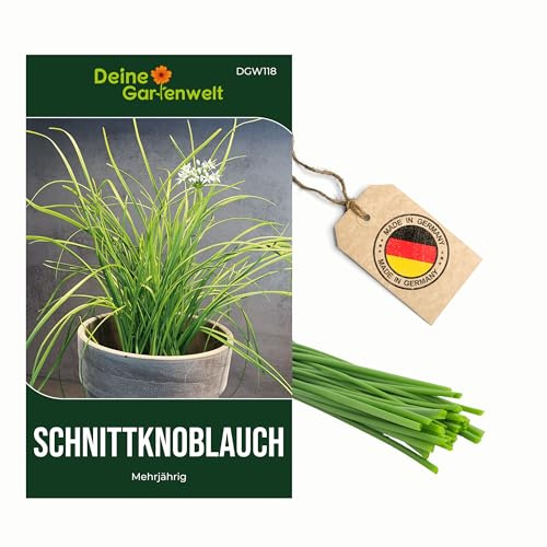 Schnittknoblauch Mehrjährig Samen - Allium tuberosum - Schnittknoblauchsamen - Kräutersamen - Saatgut für 100 Pflanzen – 5er Pack