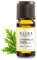 ELIXR – Citronella Öl für Duftlampen, Diffusor & Aromatherapie – 100% naturreines ätherisches Öl aus ausgewählten Zitronengräsern – schonend in Deutschland hergestellt (10 ml)