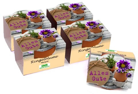 Bull & Bear 5er Set Mini Pflanzset 'Alles Gute' Ringelblume Marigold Blumen Samen, 5 Tontöpfchen mit Blumensamen und Pflanzsubstrat