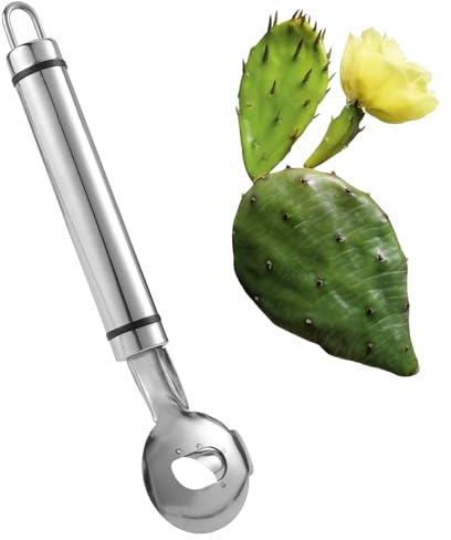 Pelapatate a Cucchiaio per Cactus, 19 x 4,8 cm Strumento Pelapatate Cactus Coltello Tagliare le Tagliatelle con Foro con Manico Lungo per la Cucina Cottura delle Tagliatelle di Cactus