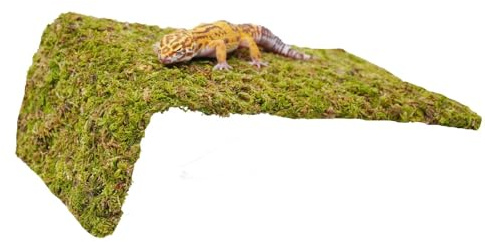 Jinymral Reptile Moss Climbing Wall for Leopard Gecko, Adjustable Humidity Retaining Terrarium Background, Green Habitat Mat for Shedding Aid & Tank Decoration