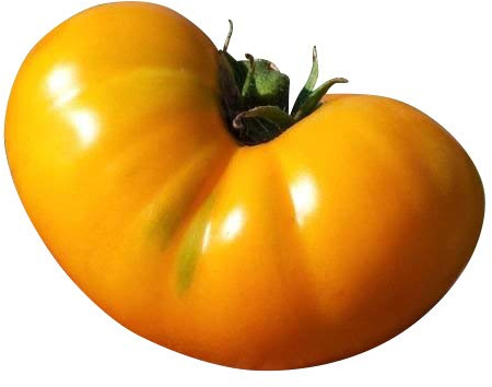 Tomate -AZOYCHKA- 10 Samen