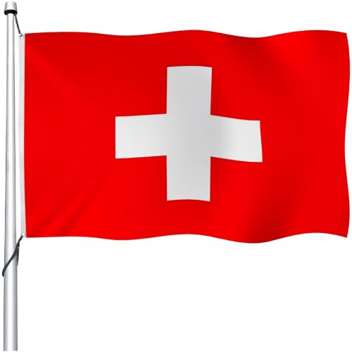 Aoihrraan Drapeau Suisse 80x120cm Double Face Drapeau Suisse Célébration En Plein Air Drapeau Maison Jardin Porche Fête Décoration Drapeau Avec 2 Oeillets Solides