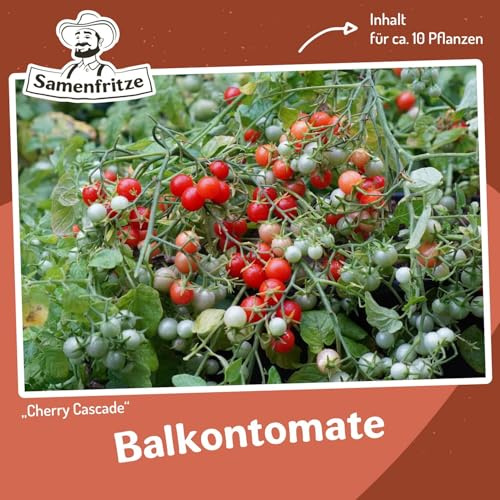 Cherry Cascade Tomatensamen