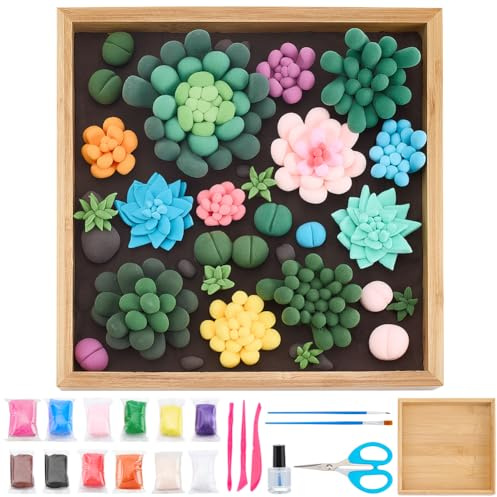 WEBEEDY 12 Colors 3D Modeling Clay Succulents Art Set for Home Wall Decor,Succulent DIY Air Dry Clay Kits with Modeling Clay,Sculpting Tools,Craft Box for DIY Art Craft Christmas Birthday Gift