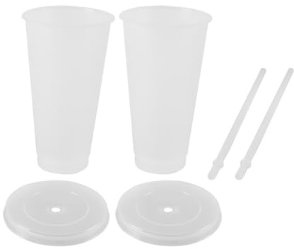 Ludom 10 vasos de plástico reutilizables, vasos fríos de 24 onzas con tapa y popote, taza de plástico PP para jugos de cumpleaños, fiesta en la playa (transparente)
