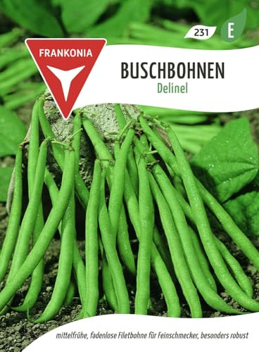 FRANKONIA® Buschbohne, Delinel - Bohnen-Samen Gemüse-Samen Saatgut Samen (Phaseolus vulgaris)