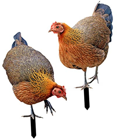 ABOOFAN 2pcs Garden Decor for outside Acrylic Chicken Stake Lawn Sign Chick Design Ornament