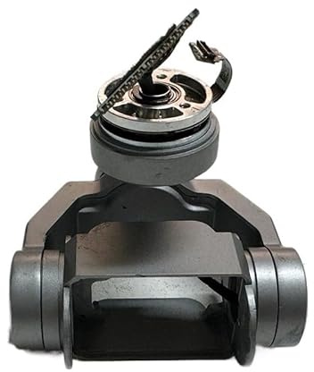 YLLOZDE pour Mavic 2 Pro Gimbal Caméra pour 2Pro Moteurs pour pour Zoom Bras Testé pour DJI pour la série(Dual)