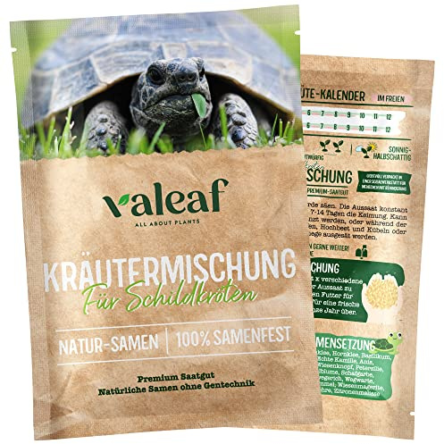 valeaf Schildkröten Samenmischung I Wildkräuter Samen I Schildkrötenfutter Landschildkröten I Schildkröten Pflanzen als Futterpflanzen für Landschildkröten I Wildkräuter Samen Schildkröte (5 Gramm)