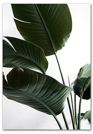 HLSHOE Seaside Palm Leaf Desert Dune Green Leaf Zitat Wand Kunstdruck Papier Leinwand Malerei Nordic Poster Decor Bilder for Wohnzimmer (Color : E, Size : 30x40cm No Frame)