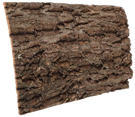 CORHAD Kork Terrarium Hintergrund 20x30cm Natürliche Korkrinde Mit Strukturierter Oberfläche Reptilien Kletterrinde Für Schildkröten Und Aquariendekoration