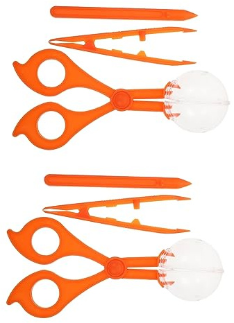 UPKOCH 2sets Strumenti Per Educazione Scientifica Pinzette e Clip Di Per Insetti Punteruoli in Kit Di Per Ragazzo Per Esplorazione