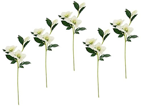 Flair Flower Helleborus Christrosenzweig 5er Set Kunstblume Seidenblumen Floristik Einzelblume Stielblume Einzelzweig Stiel Kunst-Stielblume Dekoblume Blumen Blumendeko,021114CR,Creme,57x12x5 cm