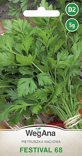 WegAna Persil Festival 68 5g, graines de persil, graines d'herbes aromatiques, graines de légumes robustes, graines de légumes, graines de culture, graines pour la serre