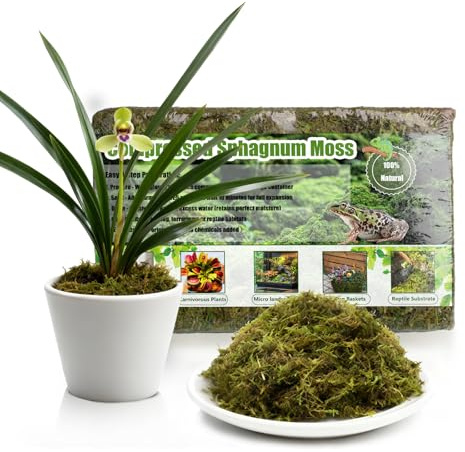GOTVUGE Premium Sphagnum Moss, 150g Natural Moss for Orchid Potting Mix, Carnivorous Plants & Succulents, Ideal Reptile Bedding, High Water Retention & Breathable (3 pack)