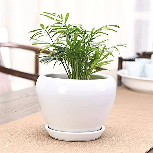 Schlichter weißer Blumentopf aus Keramik, großer runder Blumentopf mit Abflusslöchern und Pflanzschale, Pflanztöpfe, für Zuhause, Büro und draußen, Dekoration für alle Haus- und Gartenblumen, Pflanze