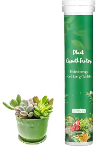 Compresse Fertilizzanti Per Piante - Compresse Di Nutrienti Per Piante Domestiche, Fertilizzante A Lento Rilascio Per 22 Piante Da Interno | Compresse Multiuso Per Alimenti Vegetali, Compresse Per Pia