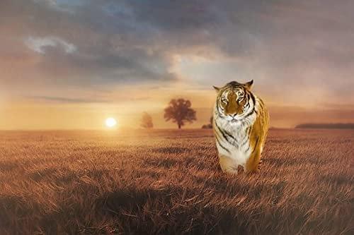Yingxin34 Puzzles 1500 Teile-1500 Teile Puzzles für Erwachsene – Tiger auf Wiese – Puzzles – Familien-Dekompressions-Lernspiel.-87 x 57 cm (34,25 x 22,44 Zoll)