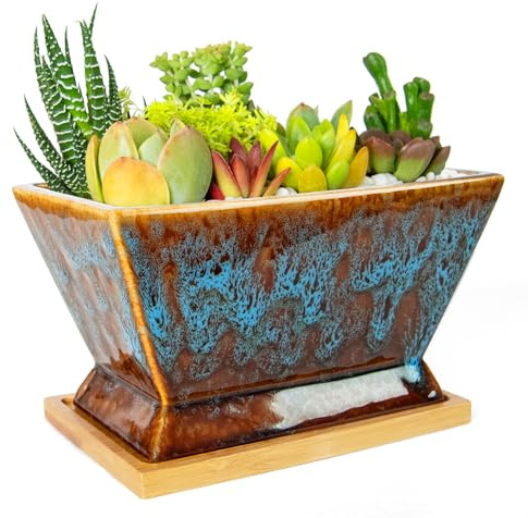 ARTKETTY Succulent Pots - 7 Inch Large Plant Pot with Drainage Tray, Shallow Ceramic Planters for Indoor Outdoor Plants, Modern Cactus Bonsai Plant Container Decorative Home Office