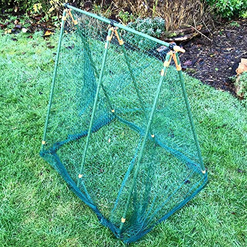 GardenSkill HD Pea Support Frame Trellis with Netting | Grow Peas Vegetables Climbing Plants Flowers - 0.9m x 0.75m x 1m H
