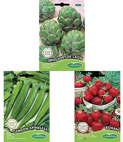 Germisem Rügen Graines de Fraises+Clemson Spineless Graines de Okra+Artichaut GROS VERT DE LAON
