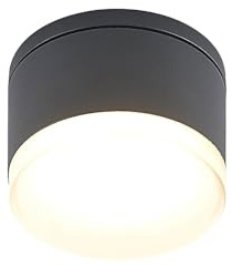 Lindby LED Deckenleuchten Mathea (spritzwassergeschützt (Modern) in Schwarz aus Aluminium (1 flammig,) - Außenleuchte für Garten Terasse Balkon & Haus Deckenleuchte