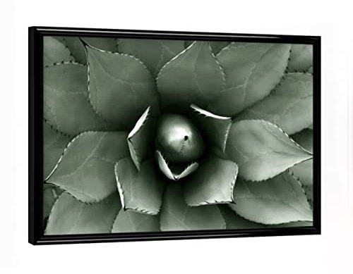 artboxONE Poster mit schwarzem Rahmen 18x13 cm Natur Agave hellgrün - Bild Agave Agave Blatt