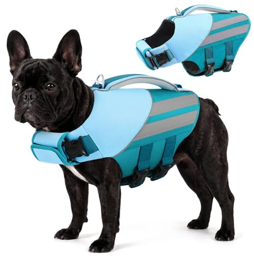 Queenmore Schwimmweste Hund Mittel Leichtes Gewicht Hundeschwimmweste Hohe Schwimmkraft Schwimmweste Französische Bulldogge Für Dackel,Pug,Jack Russell,Beagle,Greyhound, Türkis, M