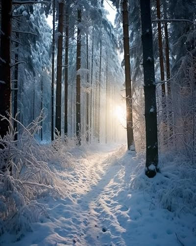 PIPISKY Malen nach Zahlen für Erwachsene,Winter Wald Schnee,DIY-Acrylmalerei-Geschenk, Zeichnung, Malerei zum Entspannen und als Wanddekoration zu Hause,40x50cm,Ohne Rahmen