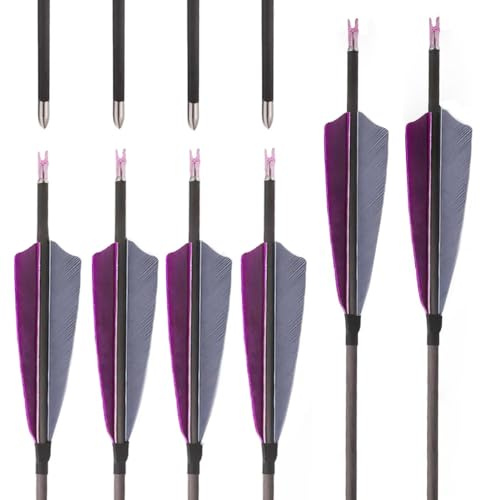 PHILOCS 12 Stück ID 4,2 mm Pfeil aus Reinem Kohlenstoff Spine 300 400 500 600 700 800 900 1000 Jagdpfeil, mit 4 Lila Grau Truthahnfeder, für Recurve-Bögen Compound-Bogen Bogenschießen