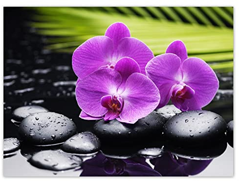 WTD H907M_NS1AS Stickers muraux Motif orchidée sur pierres 135 x 100 cm