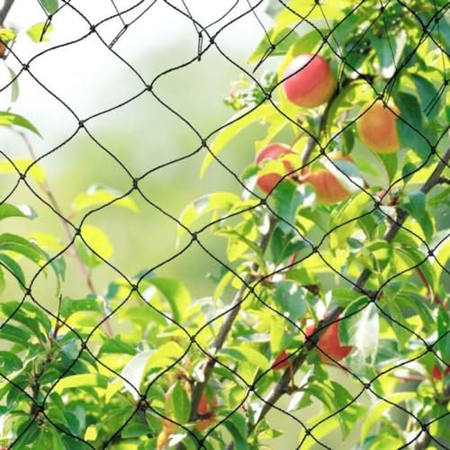 Filet anti-oiseaux pour jardin, balcon, étangs, arbres fruitiers, plantes cultivées, filet de sécurité pour cage à fruits et légumes (5 x 10 m)