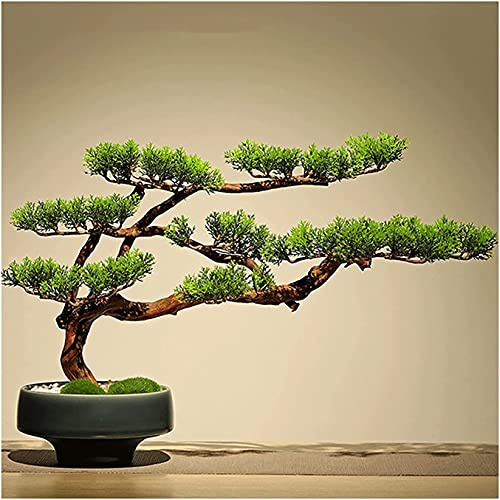 GLETSF 16-Inch Artificial Bonsai Pine Tree Simulation Potted Plant, Used For Bookshelf Balcony Decoration Fake Plant Decoration