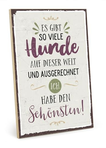 TypeStoff Holzschild mit Spruch – schönster Hund – im Vintage-Look mit Zitat als Geschenk zum Thema Hundenarr - HS-00555