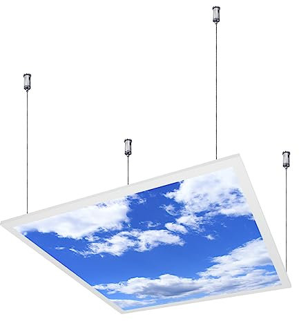 G.W.S® Sky Cloud Pattern Ceiling Light, Suspended 3CCT 595mmx595mm (2'x2') Square LED Panel Light, 0-10V Dimming, Pack of 1