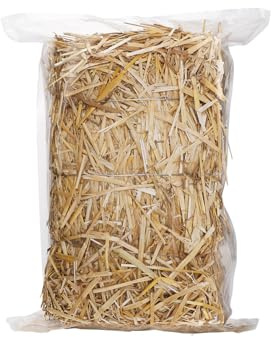 Natural Wheat Straw - 1 LB Dry Clean Soft Garden Mulch Weed Cover Chicken Coop Yard Farm Pets Bedding, Warm Decorative Straw Bale for Stray Cats Dogs Shelter