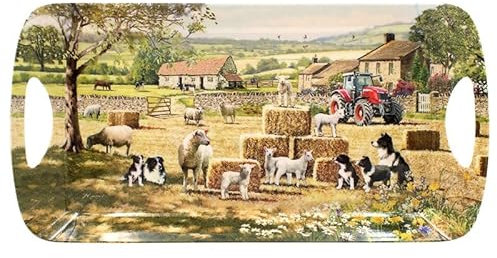 Lesser & Pavey Macneil Studios Plateau de Service de Conception Britannique pour de Multiples utilisations dans la Maison Plateau pour Servir des Aliments ou des Boissons