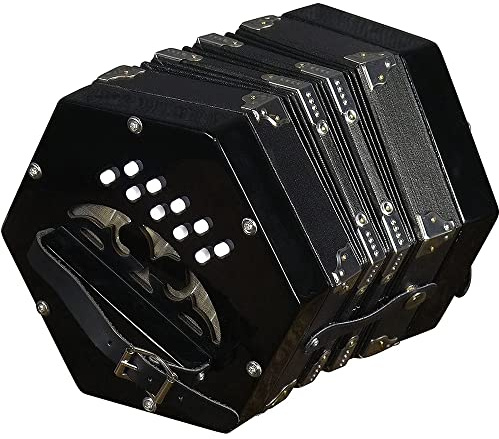 Professionelles Concertina Akkordeon 20-Button, Tragbarer Fachmann For Erwachsene Musikinstrument, Leicht Lernen Musikakkordeon-Instrument