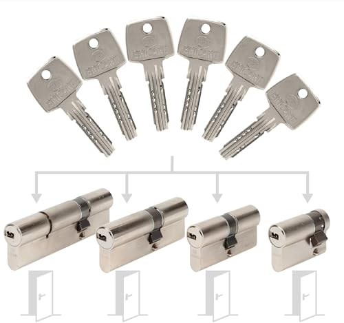 Pack de 4 cylindres Bricard Astral s'entrouvrant: 30+30, 30+40, 30+50 & 30+10 avec 6 clés.