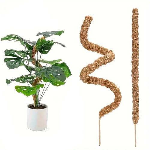 MEKLITRZ Bastone di Muschio, Palo Cocco Piante Sostegno Piante Supporti, Pieghevoli Fibra di Cocco, Tutore Muschiato per Rampicanti, Pothos, in Vaso(80cm)