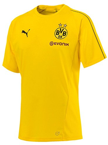 PUMA herr BVB med sponsorlogotyp träning jersey