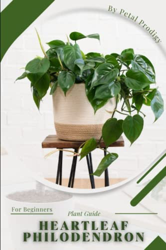 Heartleaf Philodendron: Prodigy Petal, Plant Guide