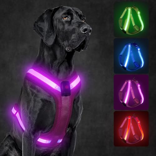 KOSKILL LED Hundegeschirr Wiederaufladbares Beleuchtetes Hundegeschirr Leuchtet Im Dunkeln LED Hundeweste Reflektierend Hundelichter für Nachtspaziergänge (Rosa, M)