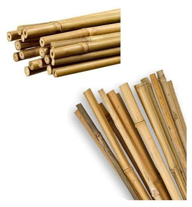 Peyca Pack 6 tutores bambú tailandés 150cm + 6 tutores bambú Natural 120cm para Plantas y huertos