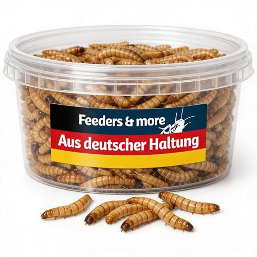 Feeders & more | 250g | Mehlwürmer lebend | hochwertige Futterinsekten | proteinreich & aktiv | ideal für Reptilien, Vögel, Fische & Terrarientiere