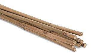 Novatool 10 Stück Tonkinstäbe 105 cm I ø 6-8 mm I Braun I Tonkinstab Sichtschutz Rankhilfe Bambus Bambusstäbe Bambusstange Bambusstöcke Pflanzenstütze Pflanzstab